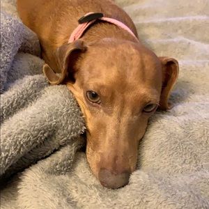 Meet your Posher, Marissa